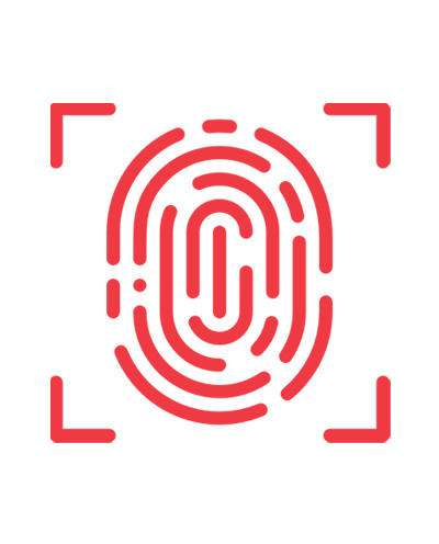 Brand Identity services Icon